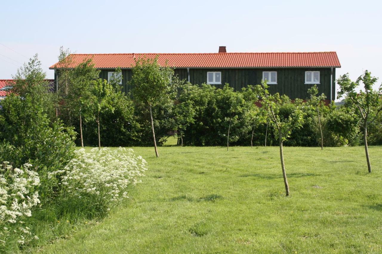 " Haus Zwischen Den Meeren " Strubbel Exteriér fotografie